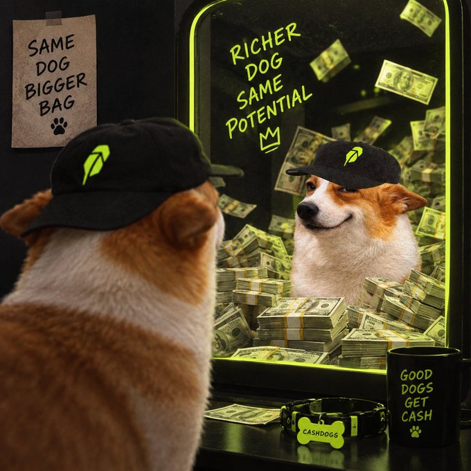 A corgi wearing a black cap with a neon green logo gazes into a mirror, revealing a reflection surrounded by flying dollar bills and the motivational text "RICHER DOG SAME POTENTIAL." The scene is tied to the $CASHDOGS launch giveaway, reinforced by the "GOOD DOGS GET CASH" mug, "CASH DOGS" collar, and a wall note reading "SAME DOG BIGGER BAG," symbolizing the project's "transform same dog into a richer dog" theme.