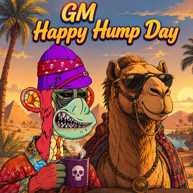 A cartoon illustration with the text 'GM Happy Hump Day' showing a stylized monkey character in a purple beanie holding a skull mug, standing next to a camel wearing sunglasses, set against a desert background with pyramids and palm trees.