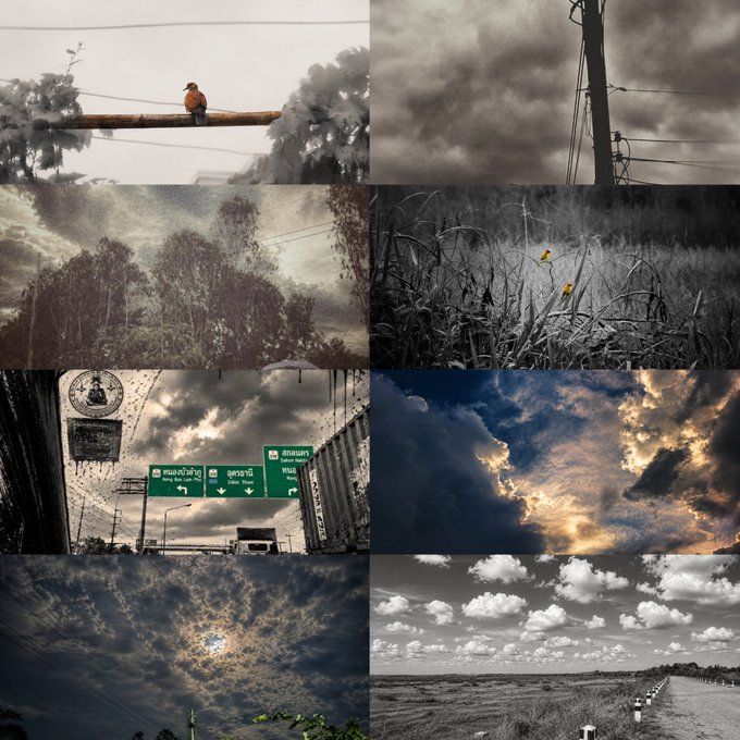 A collage of eight moody, atmospheric photographs depicting dark cloudy skies, power lines, a person sitting on a tree branch, trees, birds, a directional road sign in Thai, and a landscape, many with desaturated tones.
