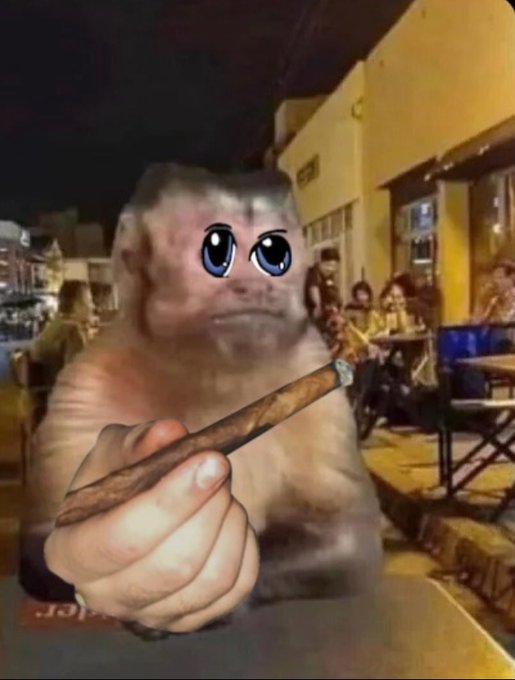 A meme featuring a capuchin monkey with large animated cartoon eyes holding out a cigar, set against the background of an outdoor café with patrons seated at tables.