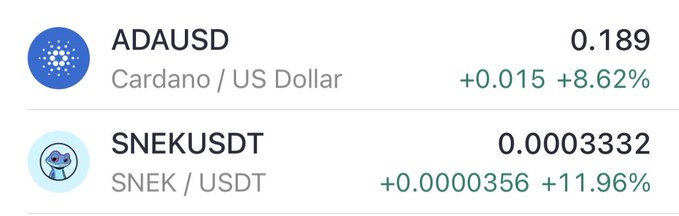 A cryptocurrency price display showing ADAUSD (Cardano/US Dollar) at 0.189 with +8.62% gain, and SNEKUSDT (SNEK/USDT) at 0.0003332 with +11.96% gain.