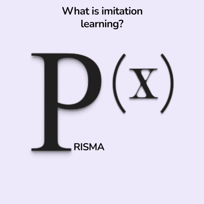 A graphic with the text 'What is imitation learning?' above a large stylized 'p(x)' notation with 'RISMA' written underneath.