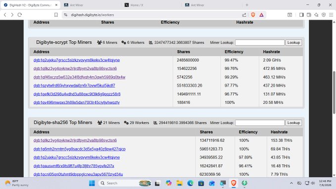 A screenshot of the Digibyte mining pool dashboard (dgbhash.digibyte.io/workers) showing Top Miners for Digibyte-scrypt and Digibyte-sha256 algorithms, displaying addresses, share counts, efficiency percentages, and hashrates in GH/s, MH/s, and TH/s.