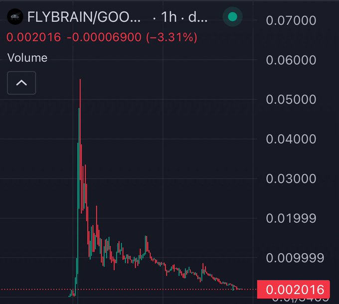 A trading chart for FLYBRAIN/GOO shows a dramatic price spike followed by a steep decline, currently down 3.31% at a price of 0.002016.