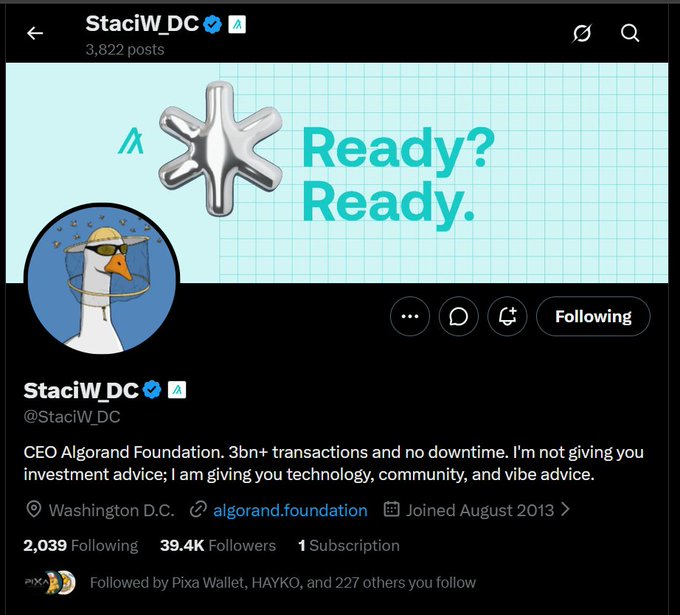 A screenshot of an X (Twitter) profile for user StaciW_DC (@StaciW_DC), CEO of the Algorand Foundation, with a banner reading 'Ready? Ready.' and a bio stating 'CEO Algorand Foundation. 3bn+ transactions and no downtime.'
