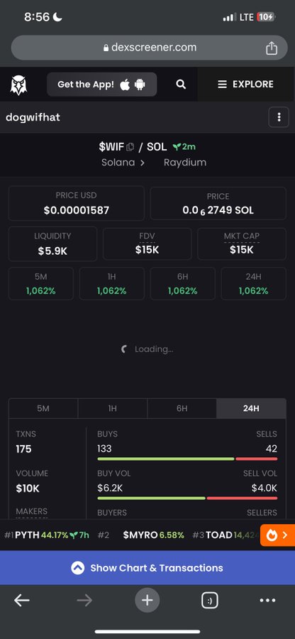 The image is a screenshot from dexscreener.com showing the "dogwifhat" ($WIF) trading pair on Solana/Raydium, with a price of $0.00001587, $15K market cap, and 1,062% gains across all timeframes alongside 175 transactions with 133 buys and 42 sells. The post congratulates someone on launching a coin, and the image humorously serves as a tongue-in-cheek example of an extremely low-cap, highly volatile new memecoin launch.