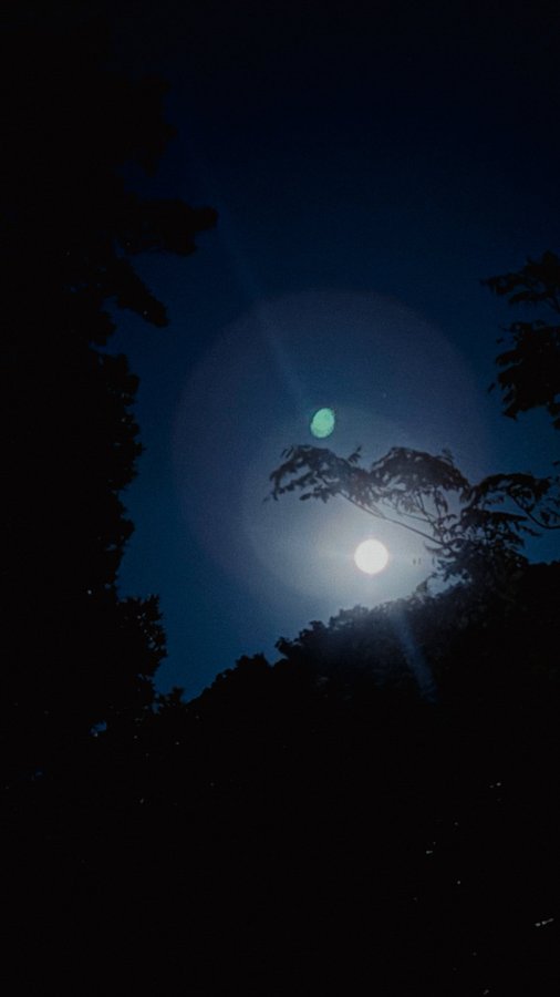 A bright full moon shines through silhouetted tree branches against a dark night sky, with a green lens flare visible above it.
