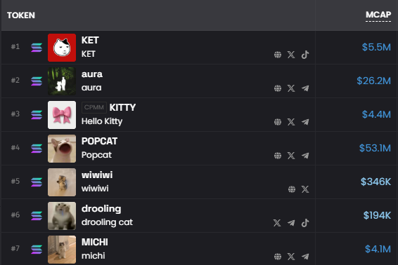 A cryptocurrency market cap ranking list featuring tokens like KET ($5.5M), aura ($26.2M), KITTY ($4.4M), POPCAT ($53.1M), wiwIwi ($346K), drooling cat ($194K), and MICHI ($4.1M) on the Solana blockchain.