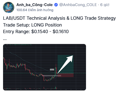 A trading chart showing a LAB/USDT long trade setup with an entry range of $0.1540 - $0.1610, promoted by @AnhbaCong_COLE, which the commenter criticizes as a scam shill urging longs on a project they believe is being pumped for insiders to dump.