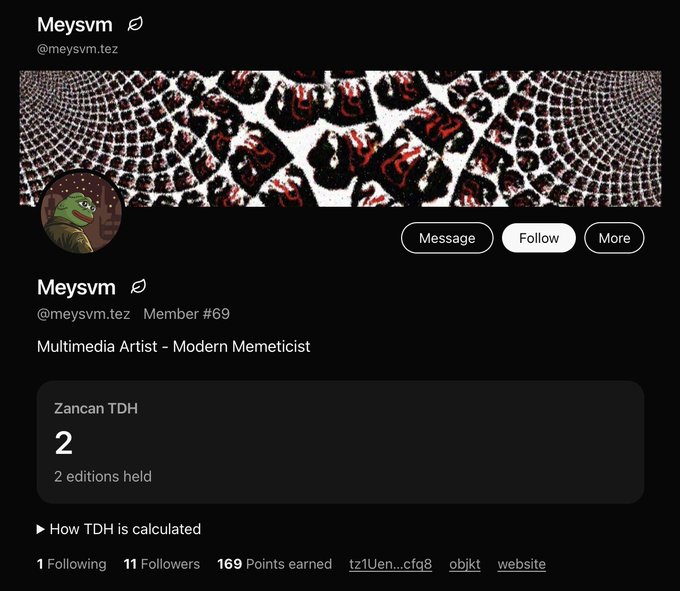 A Twitter/X profile for 'Meysvm' (@meysvm.tez) shows the handle as a 'Multimedia Artist - Modern Memeticist' with 169 Points earned.