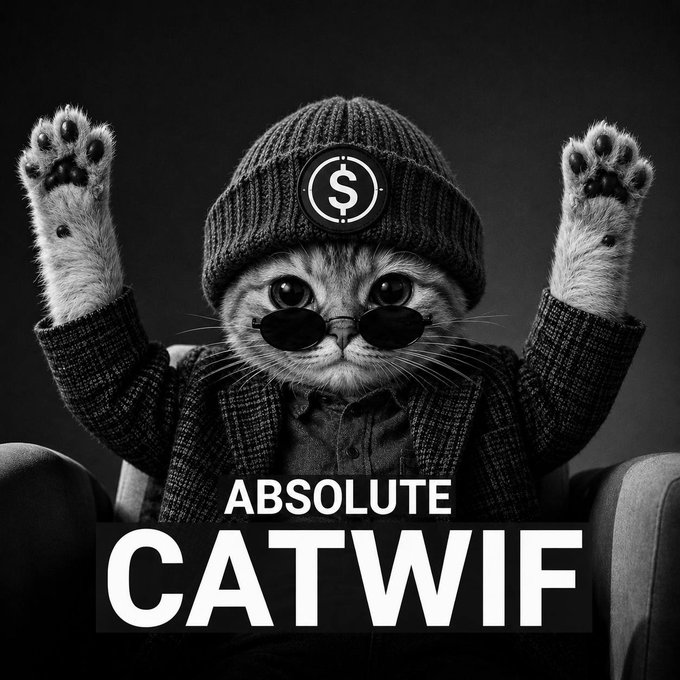 Black and white promotional image for 'ABSOLUTE CATWIF' showing a cat wearing sunglasses and a beanie hat with a dollar sign, raising its paws.