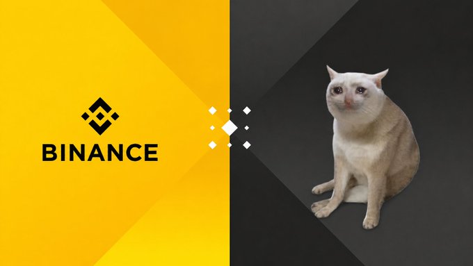 The image features a split design: on the left, a yellow background displays the Binance logo and the text "BINANCE" alongside a stylized diamond pattern, while on the right, a cream-colored cat with striking eyes sits against a dark background. This visual ties into the post's request for Binance to list the cryptocurrency $CASHCAT, using the cat imagery to represent the coin's name and the Binance branding to emphasize the listing request.