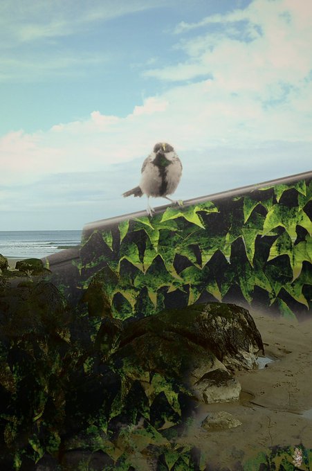 A small bird perched on a stone wall covered in ivy leaves, with the ocean and a partly cloudy sky in the background.