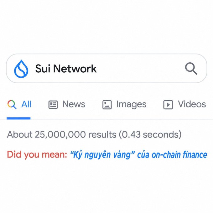 A screenshot of a Google search results page for 'Sui Network', showing approximately 25,000,000 results. A 'Did you mean:' suggestion appears in red and blue text.