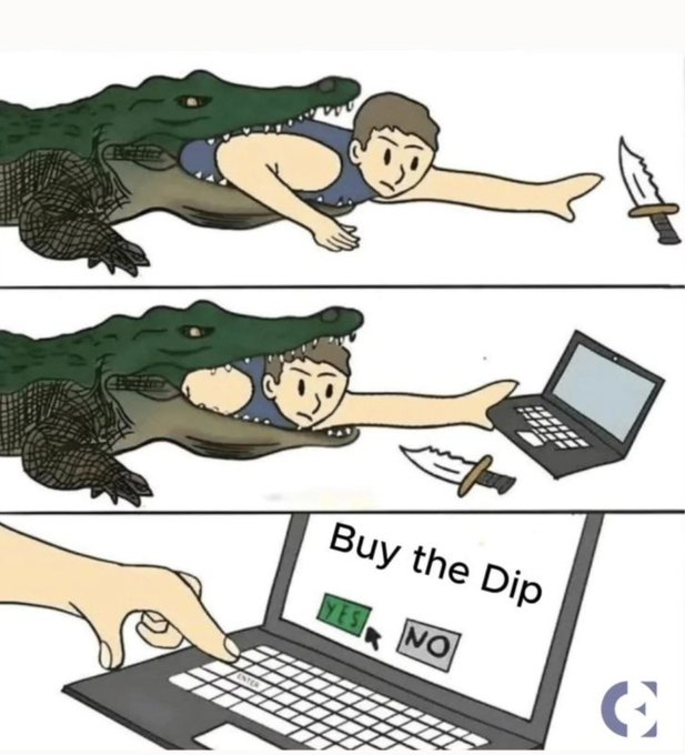 A man being chased by a crocodile reaches for a knife but finds a laptop instead, then clicks "YES" to "Buy the Dip," humorously illustrating the investing mantra of purchasing stocks when prices fall.