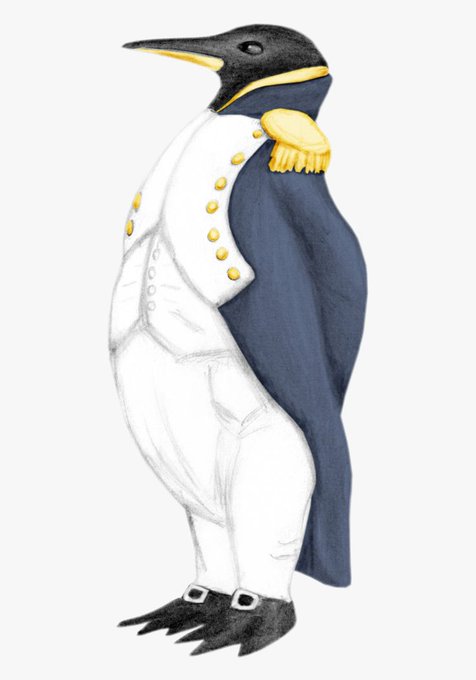 The image shows a penguin dressed in a formal military uniform, featuring a white tunic with gold buttons and epaulettes, a dark navy blue back/cape, and black webbed feet with buckled shoes. The illustration appears to be partially rendered, with the left side showing only pencil sketches while the right side is fully colored in.