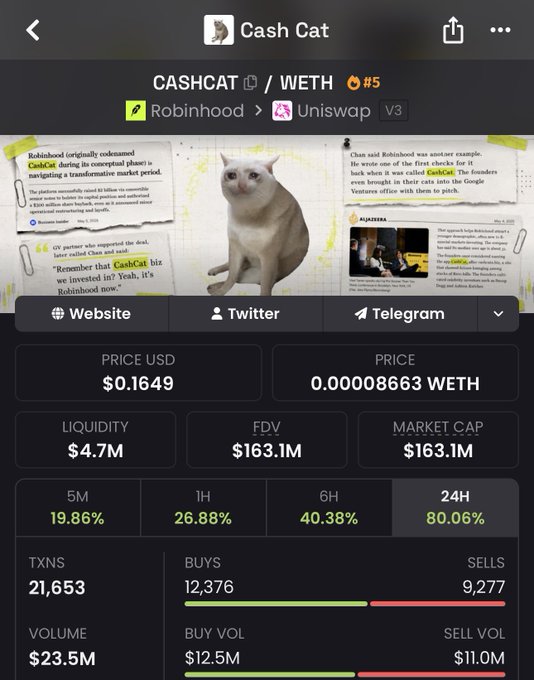 Screenshot of a cryptocurrency tracking app showing the 'Cash Cat' (CASHCAT) / WETH trading pair on Uniswap V3 via Robinhood, with a price of $0.1649 USD, market cap of $163.1M, and a 24H price change of +80.06%.