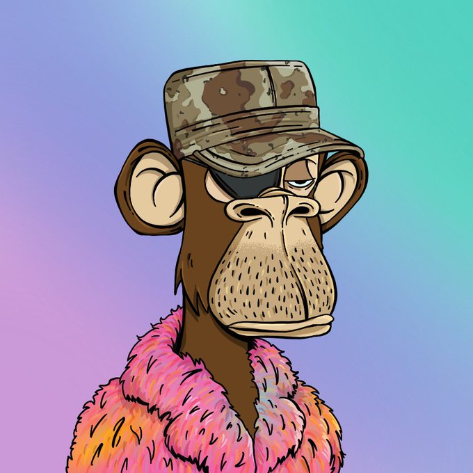 A digital illustration of a Bored Ape Yacht Club NFT character wearing a camouflage cap and a pink and orange fur coat against a gradient background.