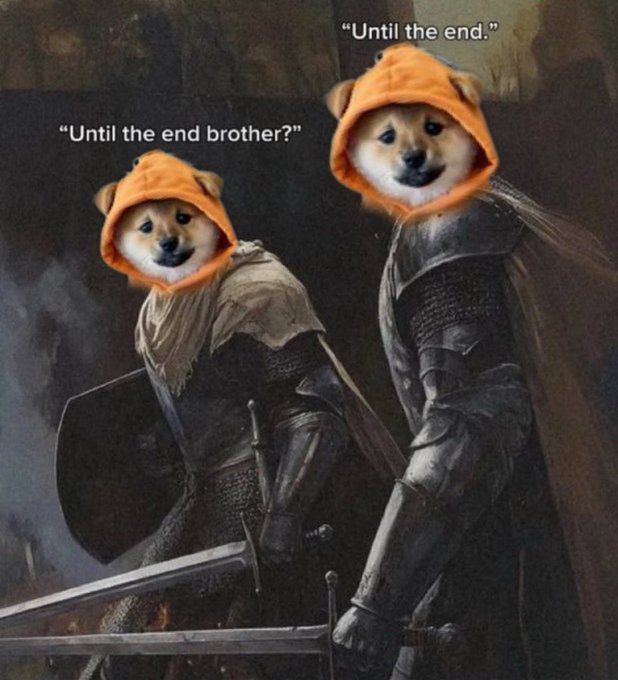 The image features two dogs wearing medieval armor, with one dog wearing an orange hooded cape and the other a gray cape. The caption reads "Day 27 of Posting $DOG until ATH." This suggests that the image was taken on the 27th day of a series or collection of images related to the theme of dogs in medieval times.