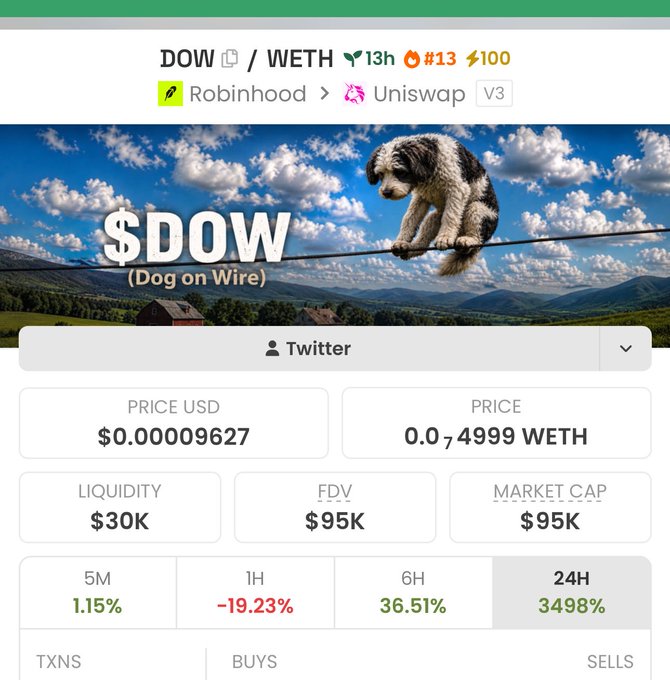 A crypto tracking screenshot displays the $DOW (Dog on Wire) token paired with WETH on Uniswap V3, showing a price of $0.00009627, $30K liquidity, $95K market cap, and a staggering 3498% gain over 24 hours. The image directly supports the post's brag about buying the $DOW dip and scoring massive returns, matching the poster's tone of celebrating speculative wins across multiple low-cap tokens.
