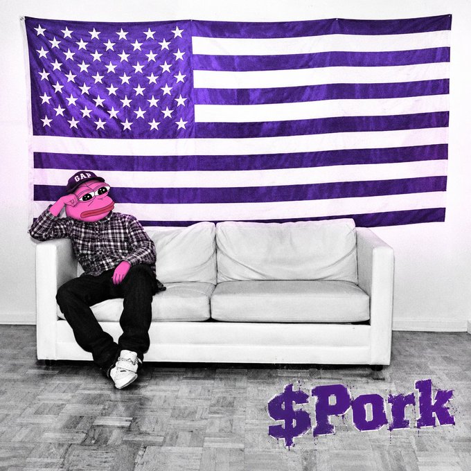 An edited image featuring a pink frog wearing a 'DAD' cap sitting on a white couch, with a purple American flag on the wall behind and '$Pork' graffiti-style text in the corner.