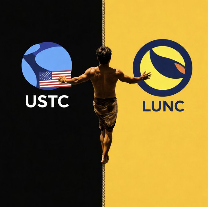 The image features a shirtless man standing on one leg with his arms outstretched, wearing shorts. In front of him are two logos - one for USTC and another for LUNC. The text "The Terra Classic community has rallied around $LUNC and USTC." suggests that the community is actively engaging in discussions or promoting a particular project related to these organizations. This could be an attempt to raise awareness, gather support, or even promote a product or service associated with these organizations.