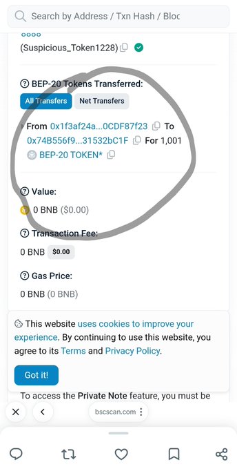 A BscScan blockchain explorer screenshot showing BEP-20 token transfers from address 0x1f3af24a...0CDF87f23 to 0x74B556f9...31532BC1F for a token labeled 'Suspicious_Token1228', circled in gray.
