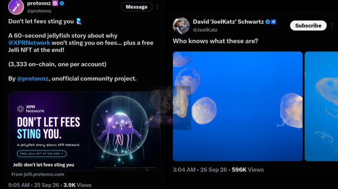 Two social media posts are shown side by side: one from @protonnz about "DON'T LET FEES STING YOU" featuring a purple jellyfish illustration, and another from @JoelKatz showing photographs of jellyfish.