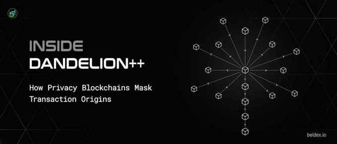 A black banner titled "INSIDE DANDELION++" with the subtitle "How Privacy Blockchains Mask Transaction Origins," featuring a network diagram of interconnected cube nodes radiating outward—visually illustrating the privacy-focused, decentralized anonymization concepts the post highlights about Beldex's tools.