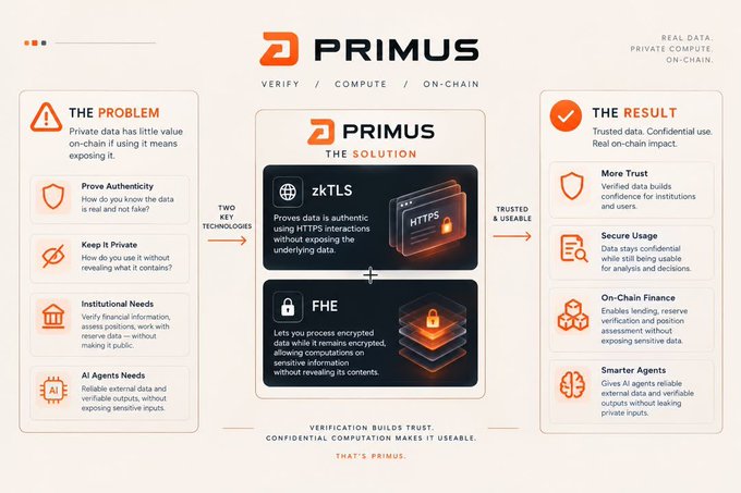 An infographic titled 'PRIMUS' explaining a cryptographic solution, highlighting 'THE PROBLEM', 'THE SOLUTION' (featuring zkTLS and FHE technologies), and 'THE RESULT' with various icons.