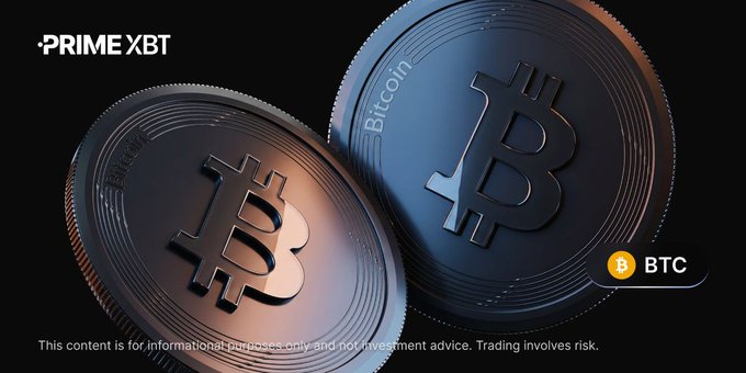 PrimeXBT promotional image showing two Bitcoin coins with the BTC ticker, including a disclaimer that the content is for informational purposes only and not investment advice.