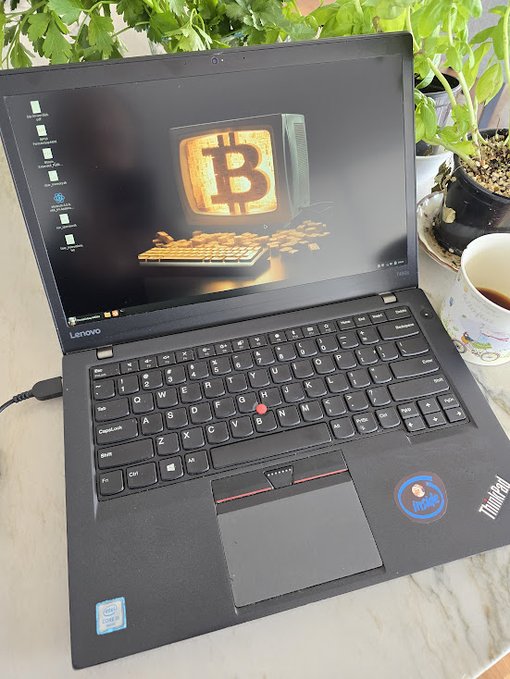 Lenovo ThinkPad laptop displaying a Bitcoin-themed wallpaper on its desktop, positioned on a desk near some plants and a coffee mug.
