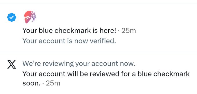 The image shows two notifications from X/Twitter: a verified blue checkmark notification stating "Your blue checkmark is here! Your account is now verified" (25m), and a prior notification stating "We're reviewing your account now. Your account will be reviewed for a blue checkmark soon" (25m). 

The accompanying post "DDDD" likely expresses the excitement or humor of finally receiving the long-awaited blue checkmark after review, which is why the ticker "X" and the celebration of verification are relevant to the image.