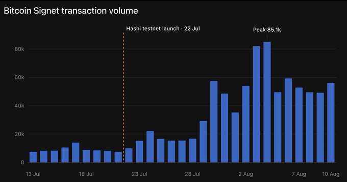 A bar chart titled "Bitcoin Signet transaction volume" shows daily transaction counts rising from under 10k in mid-July to a peak of 85.1k around August 5, with a notable jump following the "Hashi testnet launch - 22 Jul," illustrating the increased Signet activity following the Hashi/Sui testnet deployment.