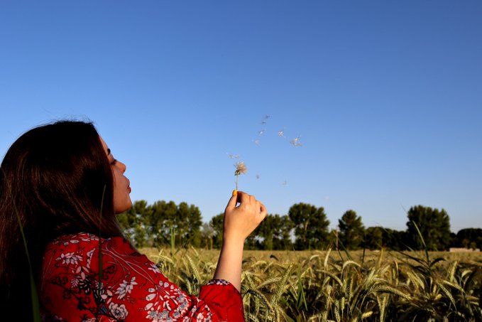 A young woman in a red floral top stands in profile in a wheat field, blowing a dandelion against a clear blue sky.