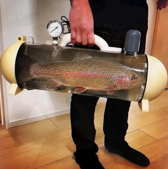 The image features a person holding a fish inside a transparent container or tube that has a white top. The fish appears to be rainbow colored, which adds an interesting visual element to the scene. The person's hand is visible as they hold onto the fish in the container.