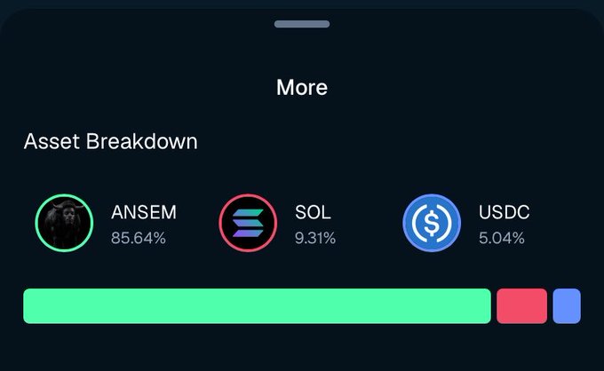 A crypto wallet asset breakdown screen showing portfolio composition: ANSEM at 85.64%, SOL at 9.31%, and USDC at 5.04%.