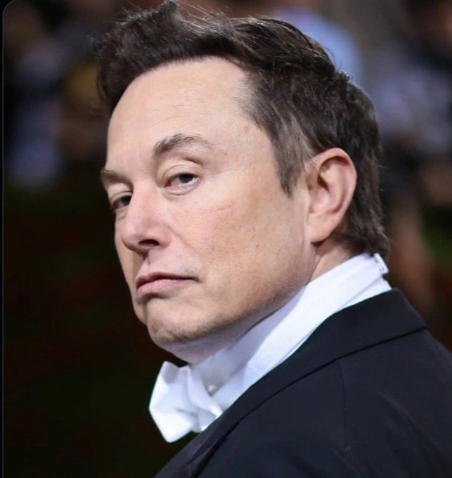 A portrait of Elon Musk wearing a black suit and white bow tie, looking off-camera with a serious expression.