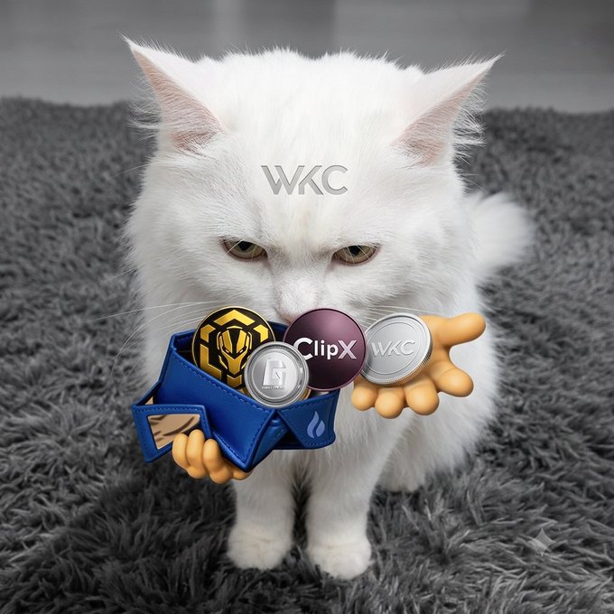 A fluffy white cat holds a cluster of cartoon cryptocurrency tokens labeled "WKC," "ClipX," and "GTAN" against a shaggy gray rug backdrop. The image playfully personifies the meme-worthy nature of these altcoin tickers mentioned in the accompanying post, using the cat as a quirky mascot for the "WKC" branding.