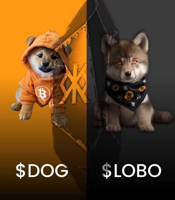 A split-image meme contrasts $DOG (a Shiba Inu puppy in an orange Bitcoin hoodie against an orange background) with $LOBO (a fierce wolf pup wearing a black crypto-symbol bandana against a dark background), visually representing the asymmetry between the two Runes tokens. The image supports the post's thesis that $LOBO's 4.7x scarcer supply could drive a similar ~$113M market cap, framing the "cute underdog" $DOG against the "predator" $LOBO.