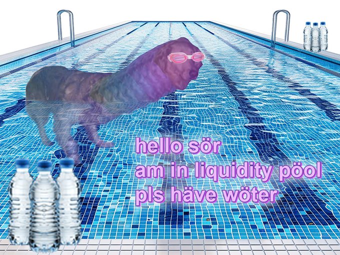 A humorous meme showing a colorful tie-dye dog wearing pink goggles in a swimming pool, with text reading 'hello sõr am in liquidity põõl pls hãve wõtër' surrounded by water bottles.