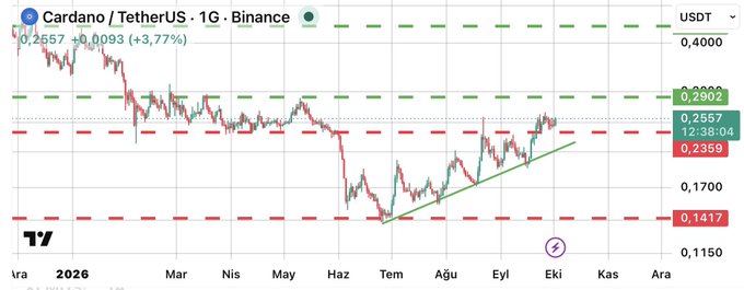A TradingView candlestick chart for Cardano/TetherUS (ADA/USDT) on Binance, with a current price of 0.2557 (+3.77%), showing support levels at 0.1417 and resistance at 0.4000.