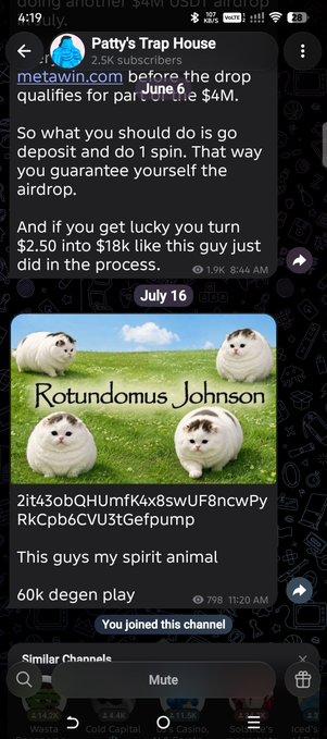 A Telegram post from "Patty's Trap House" with 2.5K subscribers discusses a "$4M airdrop" and includes a meme featuring chubby white Pomeranian dogs labeled "Rotundomus Johnson," which the poster calls their "spirit animal" in a $60K "degen play."