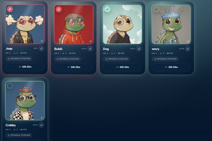 The image shows a collection of six different cartoon turtle characters, each with their own unique features and personalities. The turtles are displayed against a blue background, making them stand out prominently. The text accompanying the images provides information about the characters' names and possibly some details about their appearances or backgrounds.
