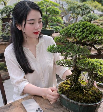 A woman with long dark hair wearing a white blouse sits at a wooden table in a garden setting, admiring a lush green bonsai tree.