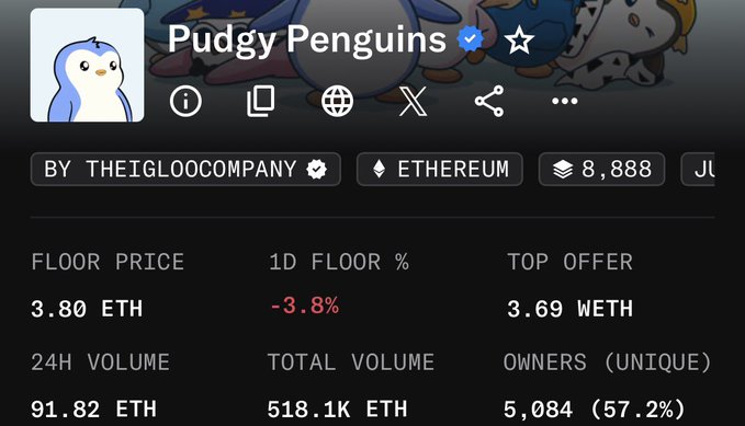OpenSea NFT collection page for 'Pudgy Penguins' by THEIGLOOCOMPANY on Ethereum, showing a floor price of 3.80 ETH (-3.8%), top offer 3.69 WETH, 24H volume 91.82 ETH, total volume 518.1K ETH, and 5,084 unique owners.