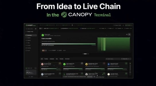 A promotional graphic for Canopy Network featuring the headline "From Idea to Live Chain In the CANOPY Terminal," displaying a dark-themed dashboard interface with a "Coin Cascade" module and various project tiles, aligning with the post's message about Canopy's terminal offering a frictionless environment for experimenting with blockchain builds before mainnet launch.