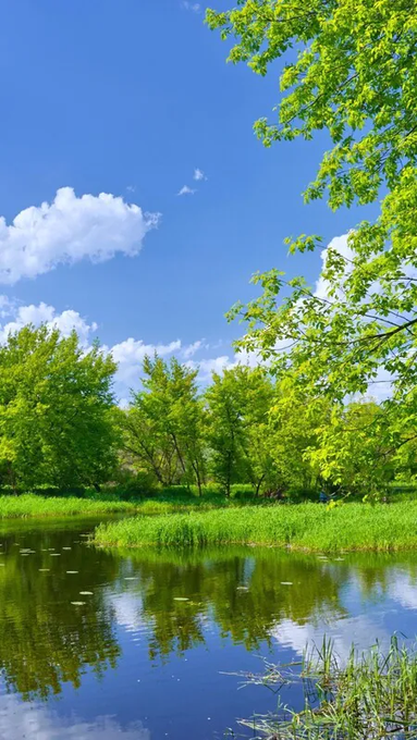 A serene landscape photograph captures a calm pond reflecting green trees and a bright blue sky with fluffy clouds.