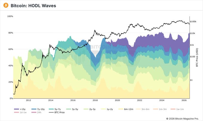 The Bitcoin HODL Waves chart from Bitcoin Magazine Pro (2011-2026) displays the percentage distribution of Bitcoin supply by age bands alongside BTC price, showing the ">10y" (purple) cohort reaching an all-time high share even as the price line (black) has corrected ~52%. This visually supports the post's claim that long-term holders aren't selling while newer buyers capitulate, as the oldest coins continue to accumulate as a larger portion of the total supply.