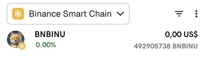 A crypto wallet interface showing a token called 'BNBINU' on the Binance Smart Chain network with a balance of 492905738 BNBINU valued at 0.00 US$.